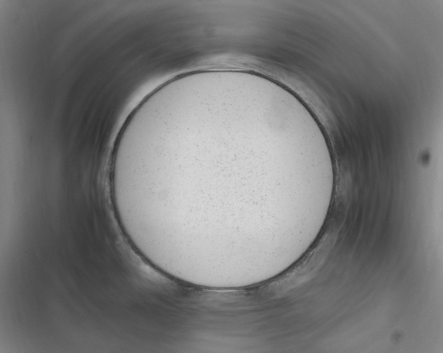 X0000116881486201001121312