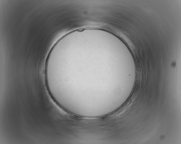 X0000116881487201001121312