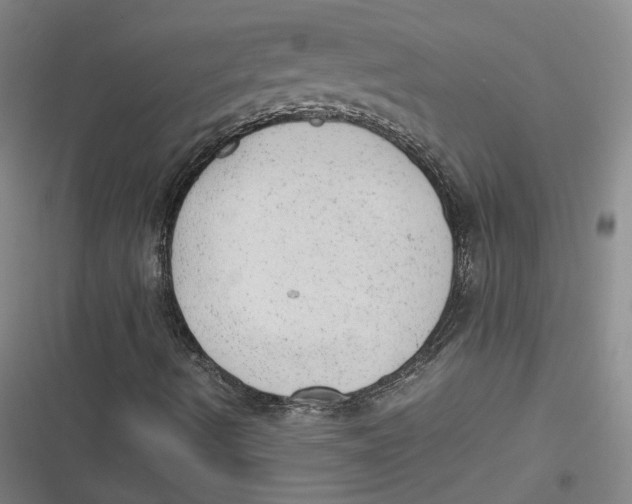 X0000116881490201001121311