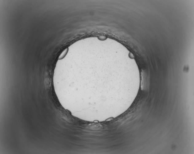 X0000116881491201001121311