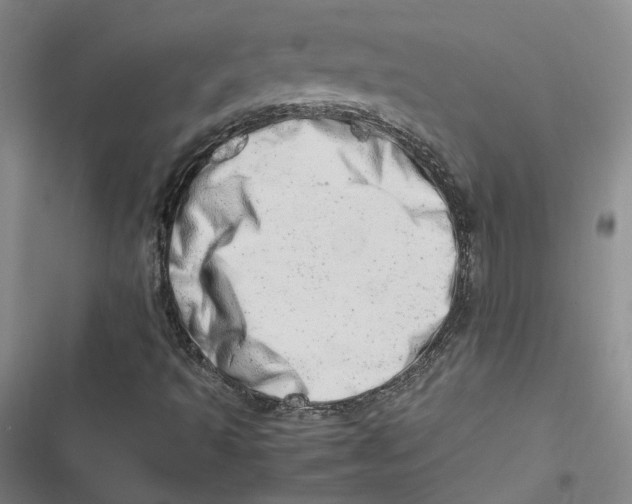 X0000116881493201001121311