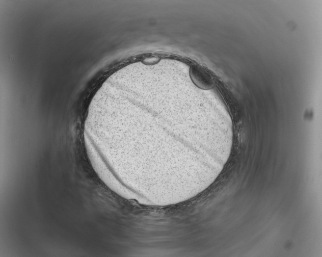 X0000116881495201001121311