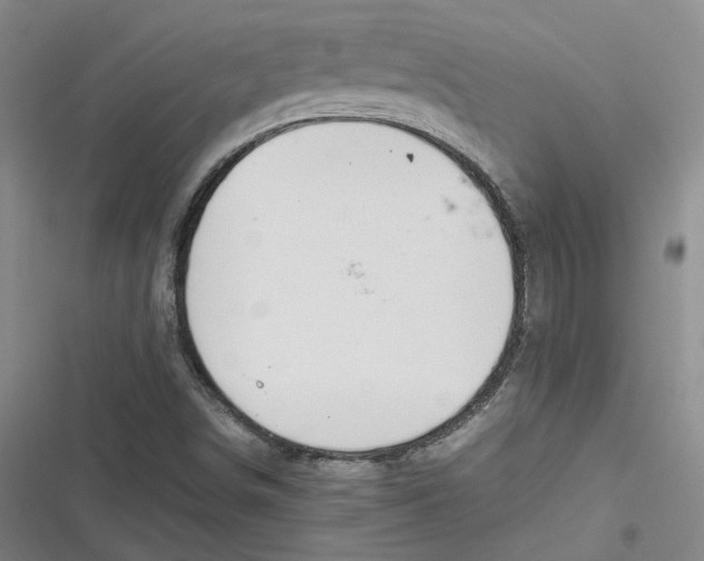 X0000116881498201001121311