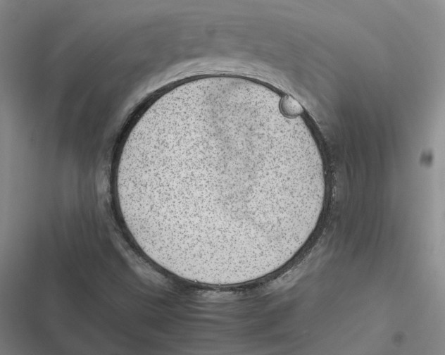 X0000116881499201001121311