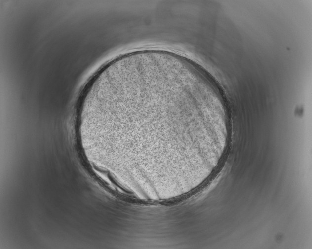 X0000116881502201001121311
