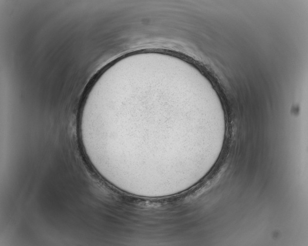 X0000116881505201001121311