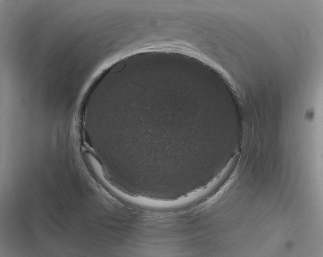 X0000116881506201001121312