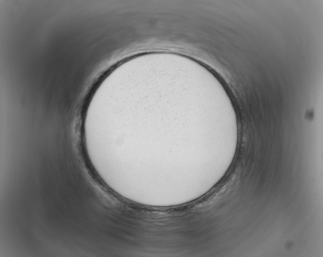 X0000116881507201001121312