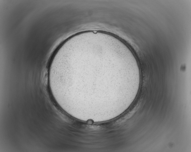 X0000116881509201001121312