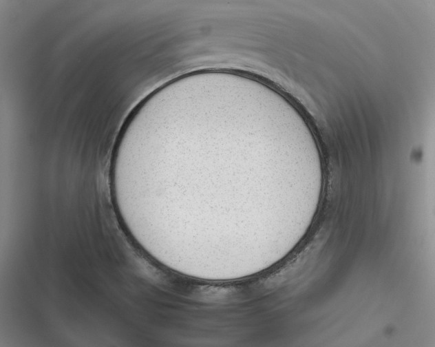 X0000116881513201001121312