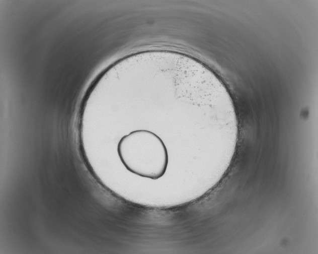 X0000116881514201001121312