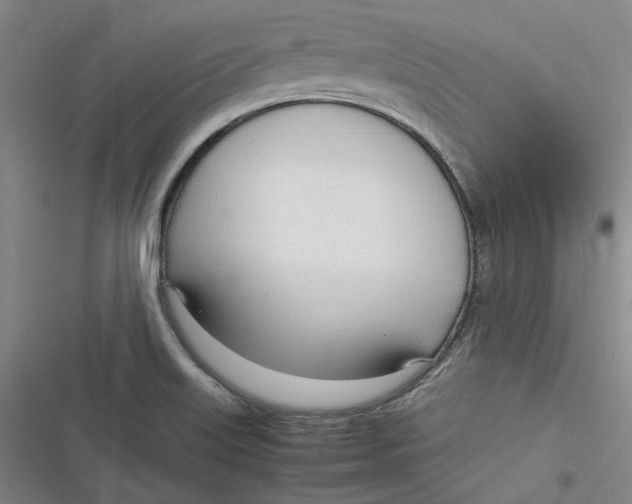 X0000116881515201001121312