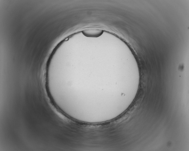 X0000116881519201001121312