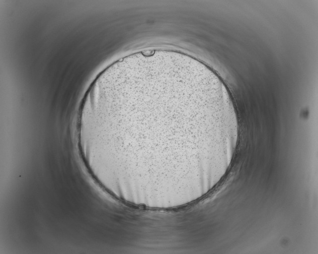 X0000116881526201001121312