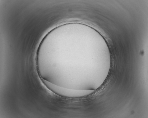 X0000116881527201001121312