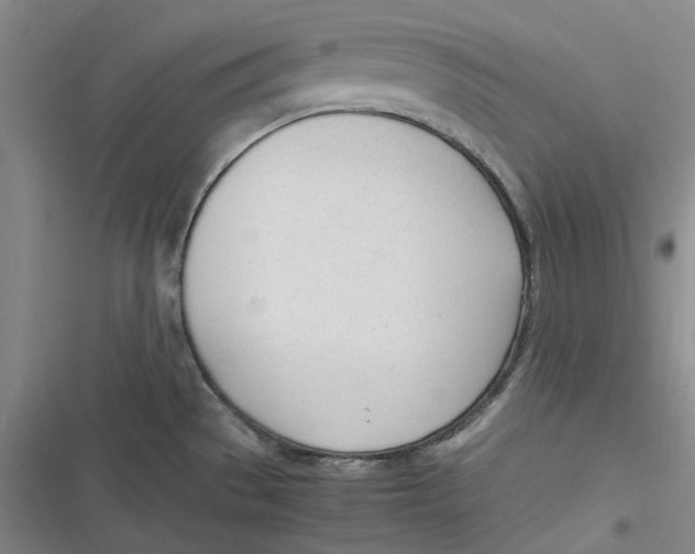 X0000116881529201001121312