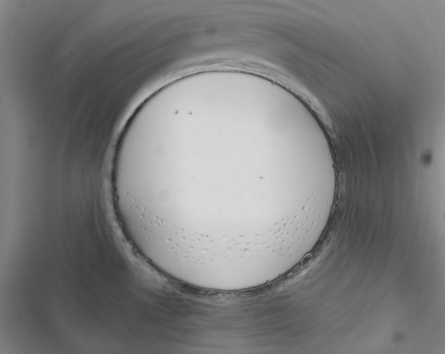 X0000116881530201001121312