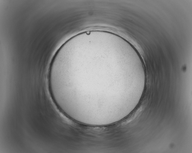 X0000116881533201001121312