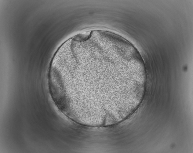 X0000116881534201001121312
