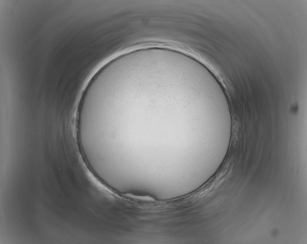 X0000116881535201001121312