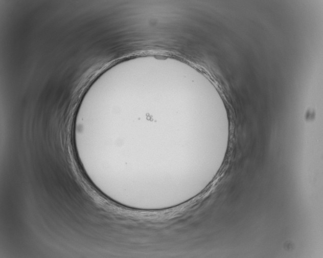 X0000116880001201001191754