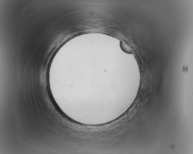X0000116880002201001191754