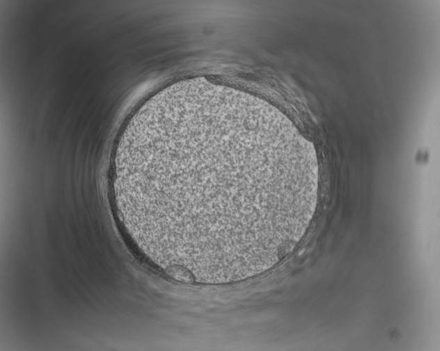 X0000116880003201001191754