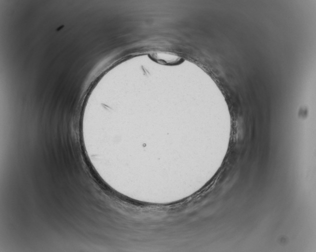 X0000116880004201001191754