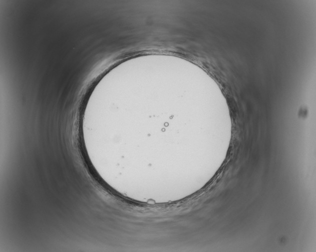 X0000116880005201001191754