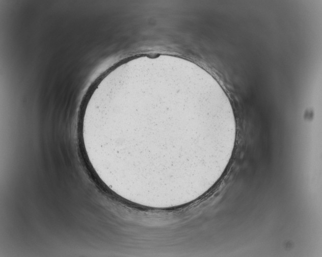 X0000116880008201001191754