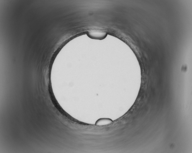X0000116880011201001191754