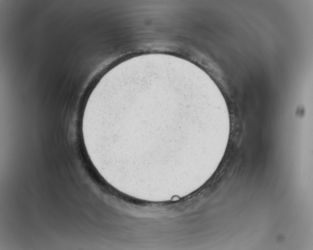 X0000116880012201001191754