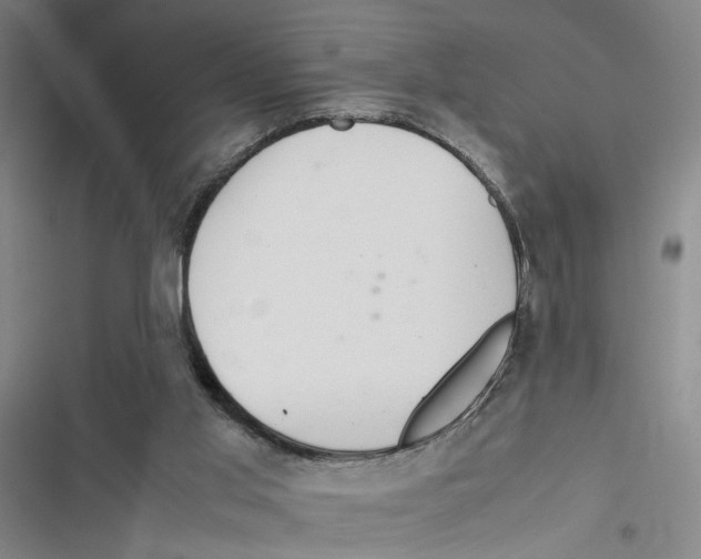 X0000116880013201001191754