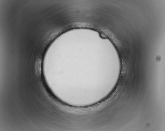 X0000116880014201001191754