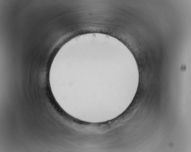 X0000116880016201001191754