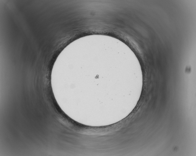X0000116880017201001191754