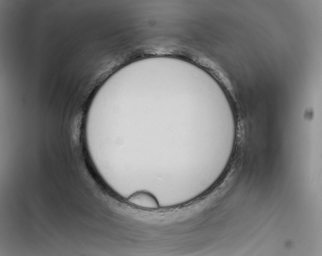 X0000116880018201001191754