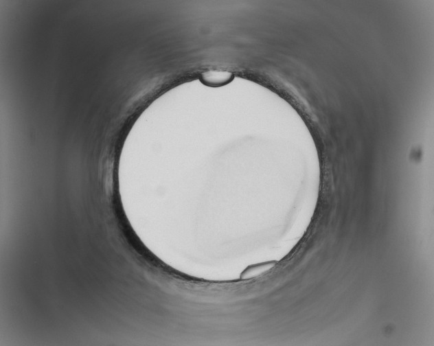 X0000116880019201001191754