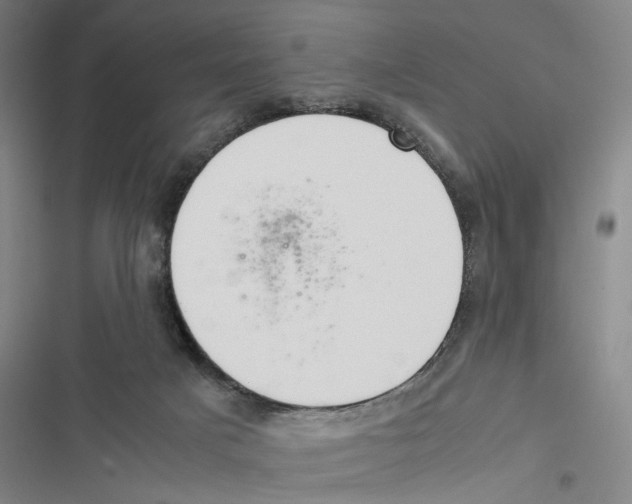 X0000116880025201001191753