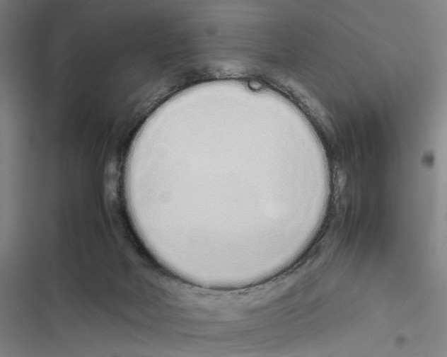 X0000116880026201001191753