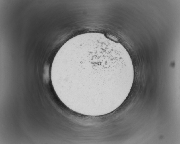X0000116880028201001191753