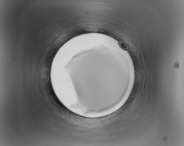 X0000116880031201001191753