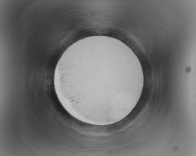 X0000116880032201001191753
