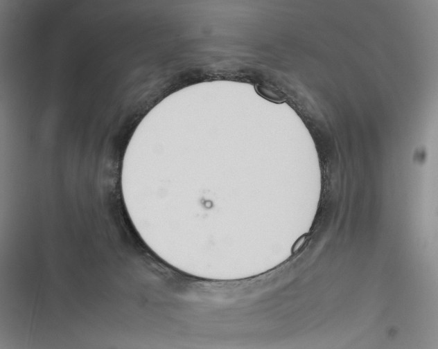 X0000116880033201001191753