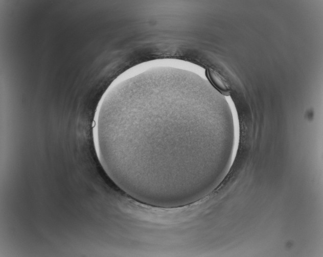 X0000116880035201001191753