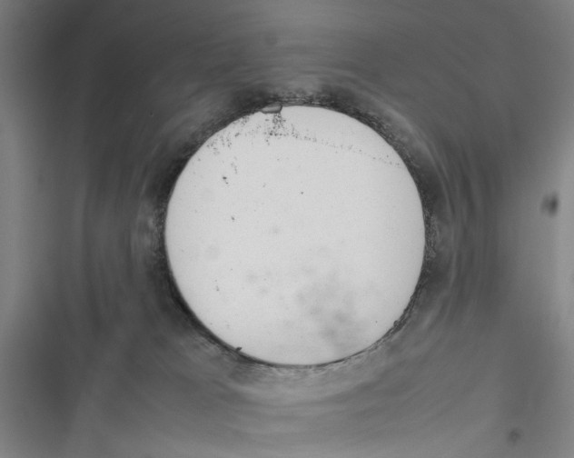 X0000116880037201001191753