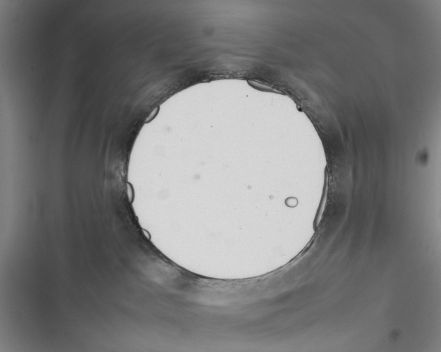 X0000116880045201001191753
