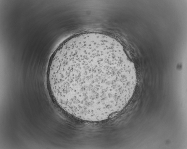 X0000116880052201001191753