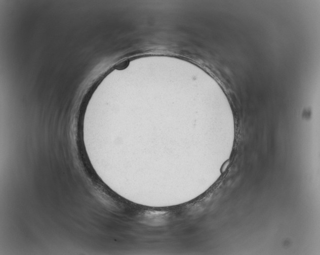 X0000116880055201001191753