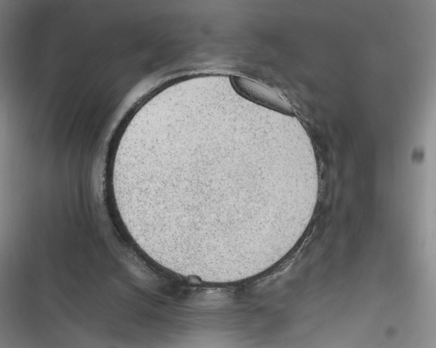 X0000116880056201001191753